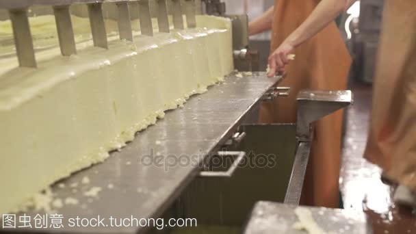現代化生產線 重塑牛奶產品的未來